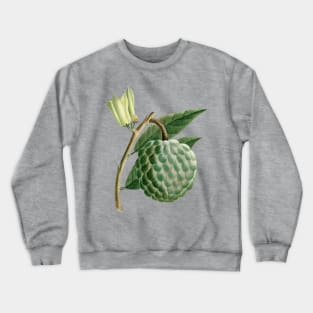 Hand Drawn Custard apple Crewneck Sweatshirt